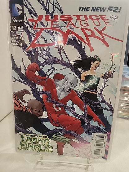 Justice League Dark New 52 Issue 12 DC Comic 