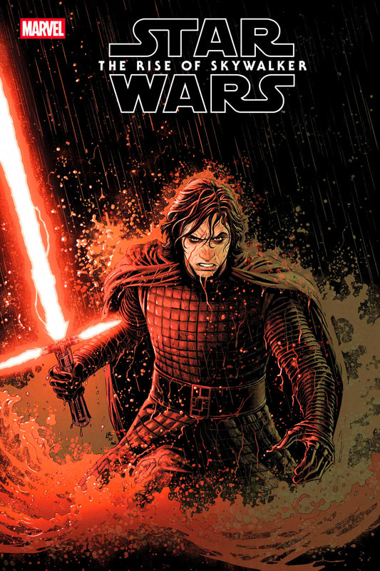 STAR WARS: THE RISE OF SKYWALKER ADAPTATION #4 LUKE ROSS VARIANT