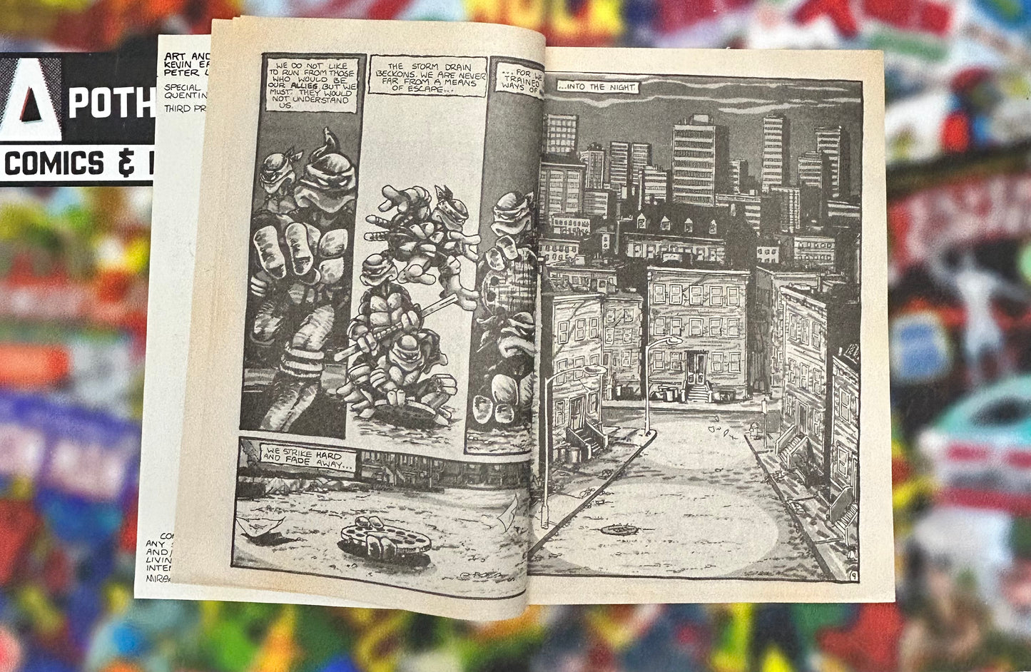 Teenage Mutant Ninja Turtles #1 (1985)(3rd Print)