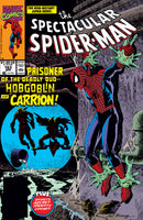Spectacular Spider-Man 163