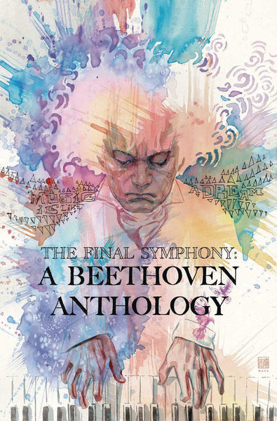 Beethoven Final Symphony Hardcover