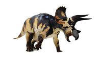 Beasts Of Mesozoic Ceratopsian Triceratops Horridus 1/18 Figure
