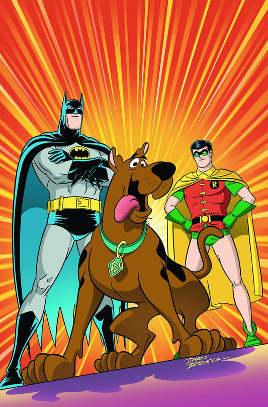 Scooby Doo Team Up Tp Vol 01 (Nov140323)