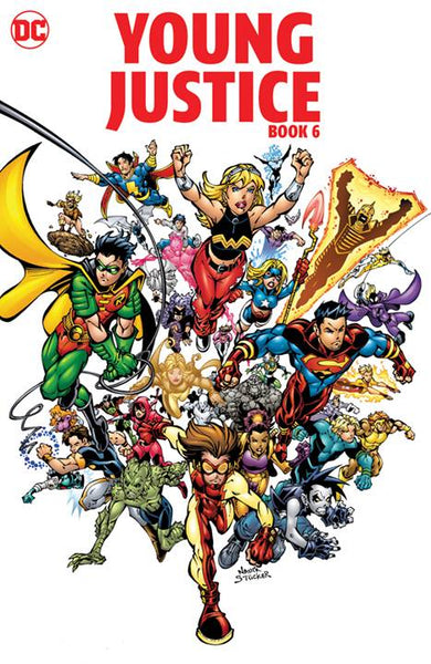 Young Justice Book #6 TPB